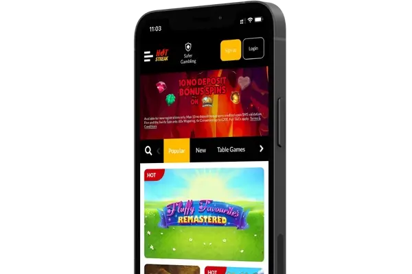 Mobile Casino